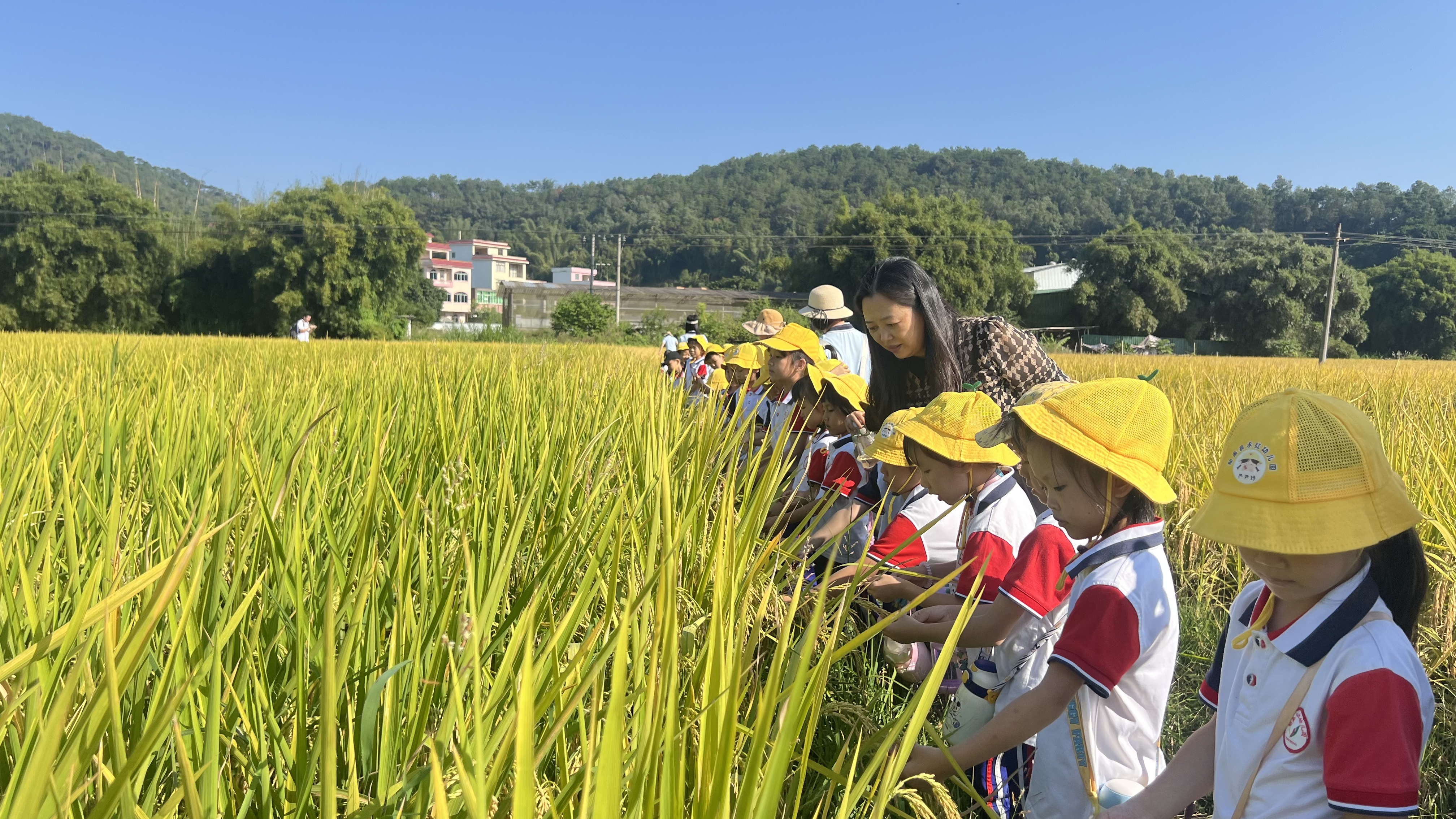 郁南縣永紅幼兒園開展2024年走進(jìn)農(nóng)村生活體驗活動1.jpg