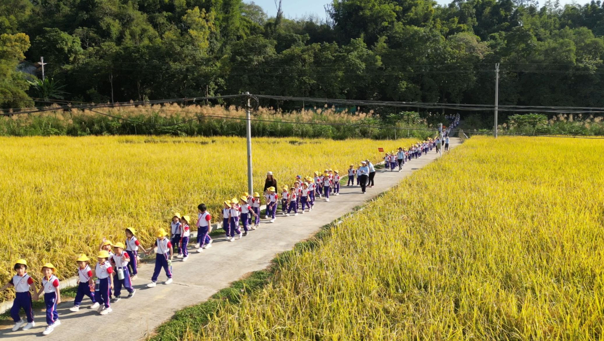 郁南縣永紅幼兒園開展2024年走進(jìn)農(nóng)村生活體驗活動2.jpg