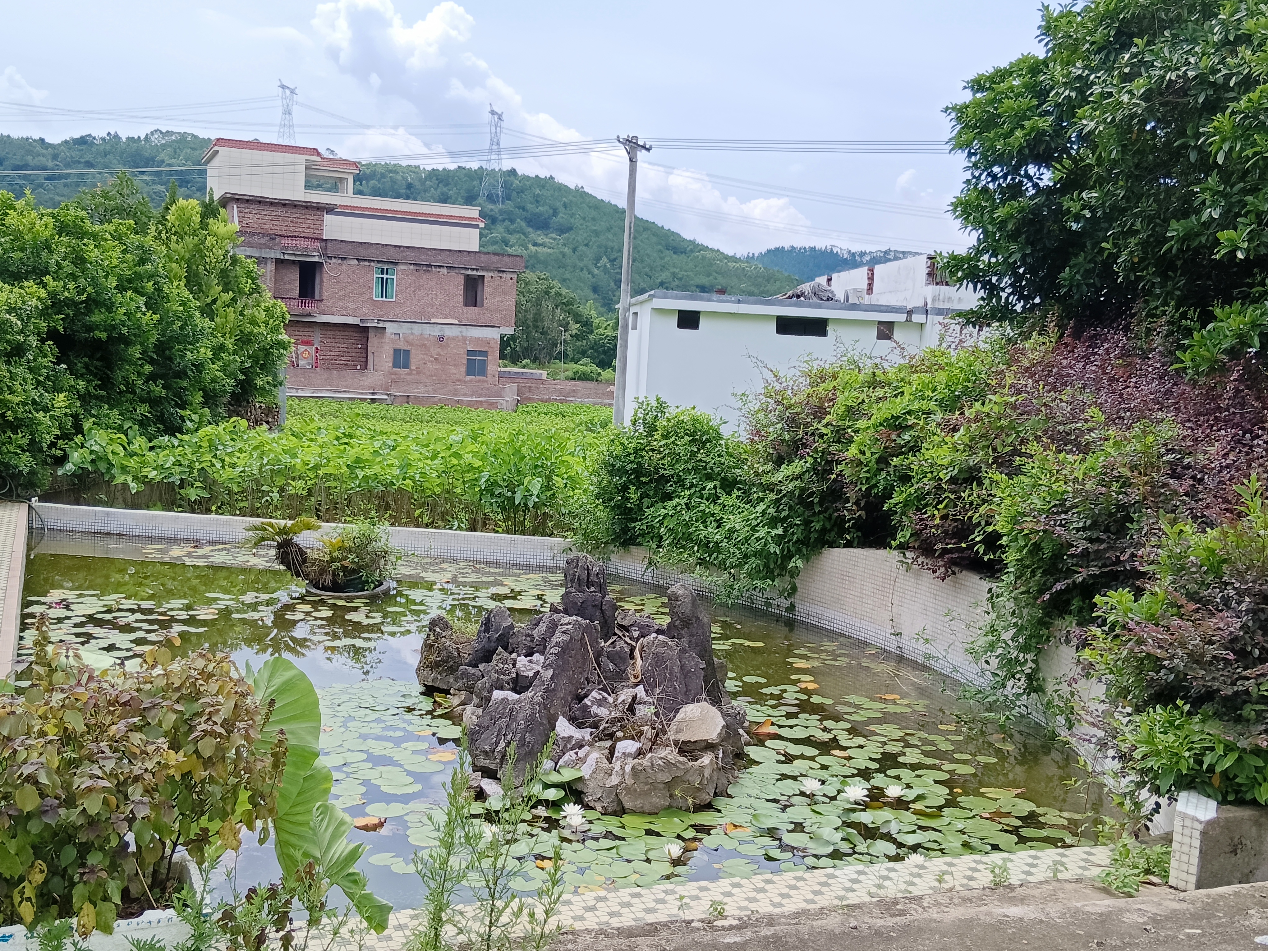 思磊3.jpg